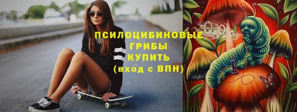 стаф Абинск