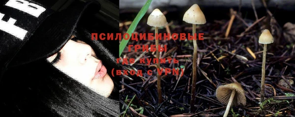 дживик Вязники