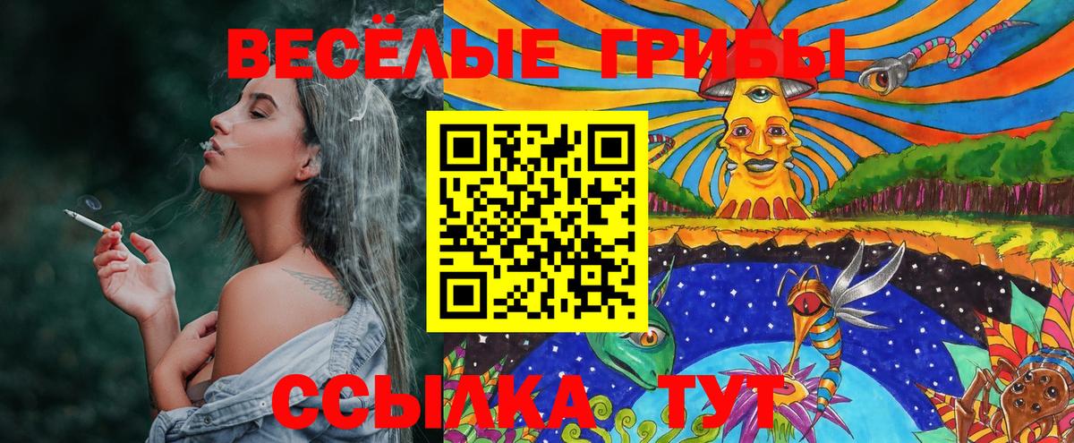 Галлюциногенные грибы Cubensis  что такое   Каменка  Вход с VPN 