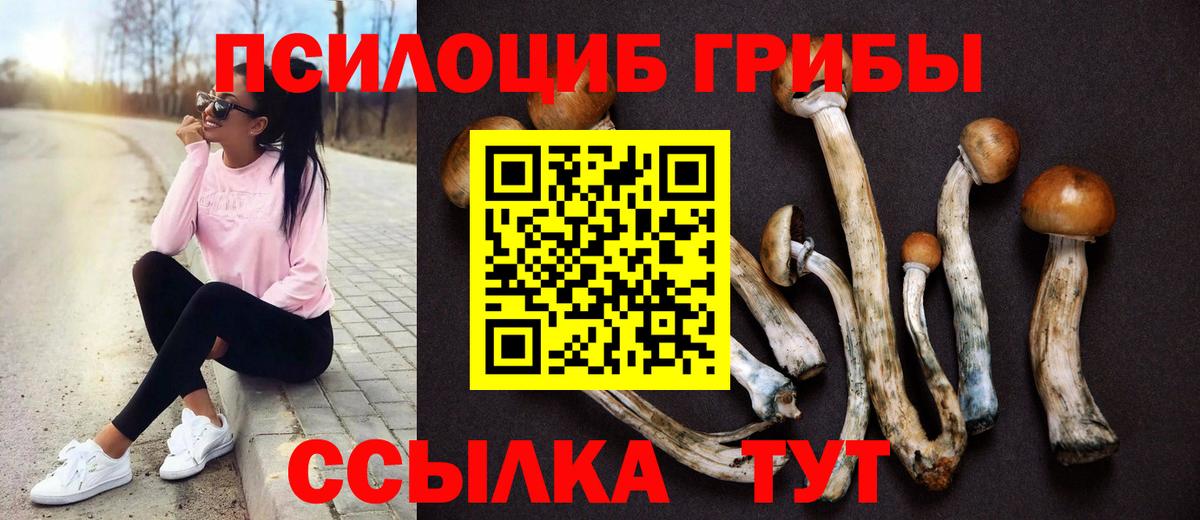 Псилоцибиновые грибы прущие грибы Каменка